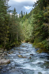 fast mountain rocky river in forest with waterfall