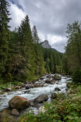 fast mountain rocky river in forest with waterfall