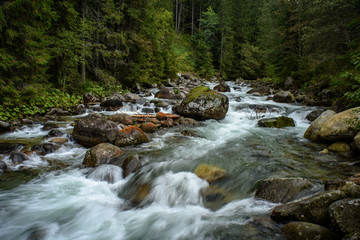 fast mountain rocky river in forest with waterfall