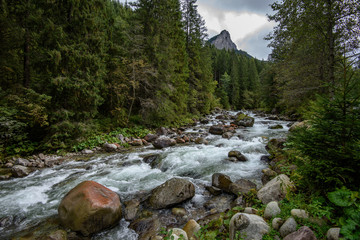 fast mountain rocky river in forest with waterfall