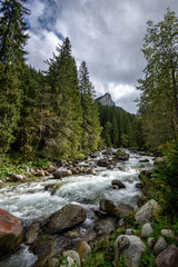 fast mountain rocky river in forest with waterfall