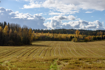 empty countryside fields in late autumn