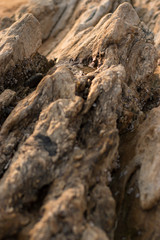 stones at the seaside