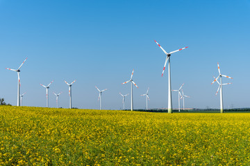 Flowering rapeseed with wind turbines in the back seen in Germany