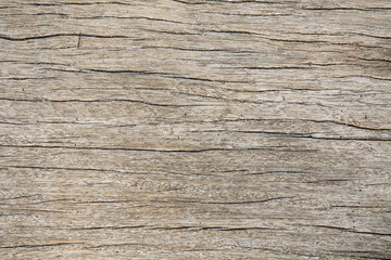 Abstract art pine wood texture