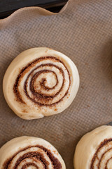Fototapeta premium Dough buns lie on baking sheet and are ready for baking in oven view from above