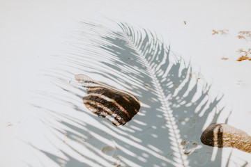 tropical sand beach background