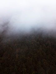 Aerial view of fog, clouds over the trees and mountains of the Caucasus, Sochi area, Krasnaya Polyana, Gorki Gorod.