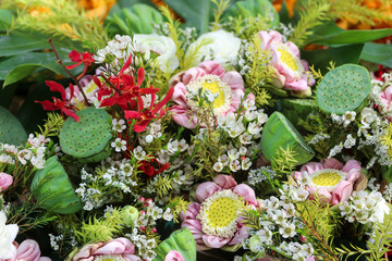 Colorful various species of flowers in the tropical