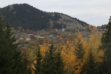 Autumn forest and village photos.savsat/artvin /turkey 
