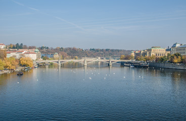 Fototapeta premium The Vltava river, The Vltava river, Charles bridge and white swans in Prague, Czech Republic in Prague, Czech Republic