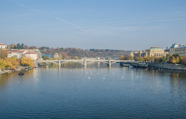 Naklejka premium The Vltava river, The Vltava river, Charles bridge and white swans in Prague, Czech Republic in Prague, Czech Republic