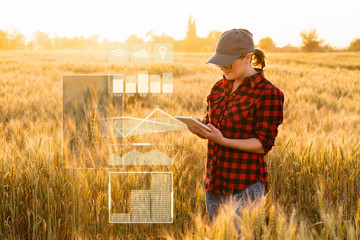 A woman farmer examines the field of cereals and sends data to the cloud from the tablet. Smart...