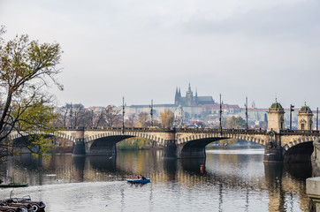 Fototapeta na wymiar The Vltava river, The Vltava river, Charles bridge and white swans in Prague, Czech Republic in Prague, Czech Republic