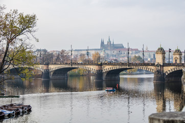 The Vltava river, The Vltava river, Charles bridge and white swans in Prague, Czech Republic in Prague, Czech Republic