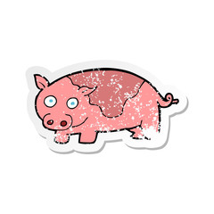 retro distressed sticker of a cartoon pig