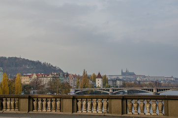 Fototapeta premium The Vltava river, The Vltava river, Charles bridge and white swans in Prague, Czech Republic in Prague, Czech Republic
