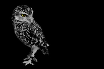Are you looking at me?