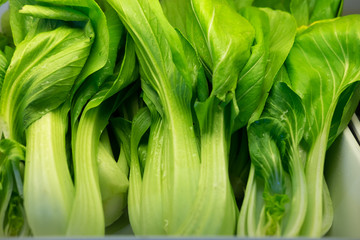 Obraz premium Choy Sum or Bok choy or chinese cabbage vegetable