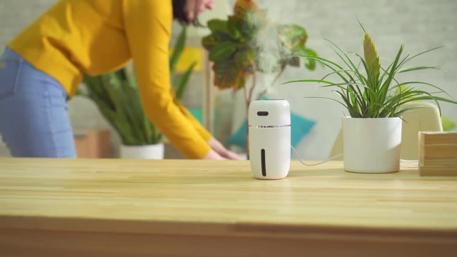 girl hand includes humidifier, care for indoor plants