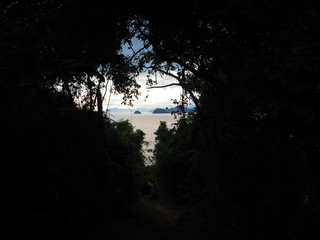 View on islands through tropical jungle - Angra dos Reis - Brasil	