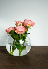 pink roses in a vase