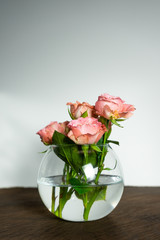 pink roses in a vase