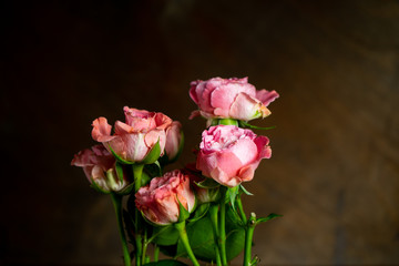 pink small roses 