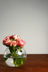 pink roses in a vase 