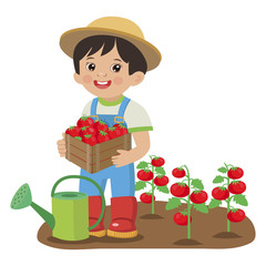Cute Cartoon Boy With Harvest Tomato. Young Farmer Working In The Garden. Colorful Simple Design Vector. Cartoon Boy Holding Tomatoes.