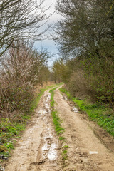 Fototapeta na wymiar Looking along a dirt path in rural Sussex, on a sunny spring day