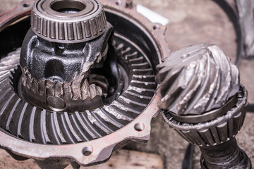 damaged gears. differential.