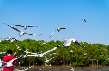 People take the family to rest. Along with watching the seagulls and feeding.