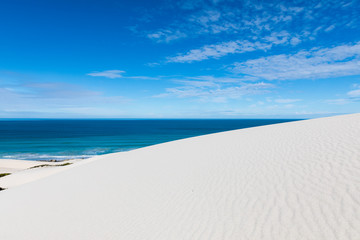 Fototapeta na wymiar De hoop nature reserve white dunes and crystal clear waters of the Indian ocean