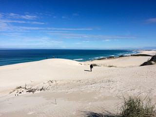 De hoop nature reserve white dunes and crystal clear waters of the Indian ocean