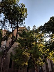 old catholic church and treees