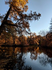 autumn in the park