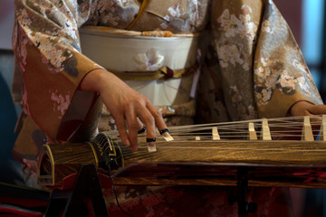 Koto japanese harp