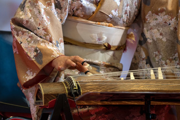 Koto japanese harp