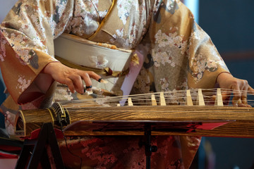 Koto japanese harp