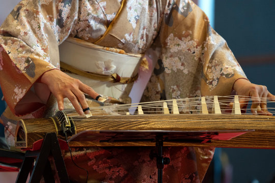 Koto Japanese Harp