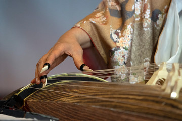 Koto japanese harp