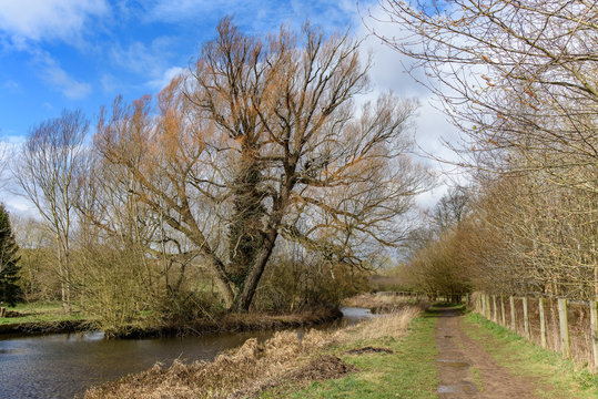 A footpath in the Cotswolds, in the United Kingdom. There is a muddy path, and a tree on a small island in the middle of the river. Taken between the villages of Lower and Upper Slaughter.
