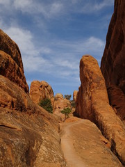 Obraz premium arches national park in winter, utah, usa
