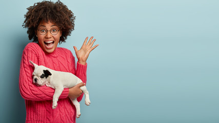 Excited emotional dark skinned woman gestures actively, rejoices recovering her small puppy, carries pet on hands, plays with french bulldog, dressed in casual pink jumper, isolated on blue wall