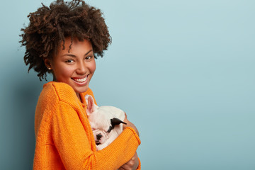 Indoor shot of attractive African American lady owner of breed dog, carries sleepy puppy, wears casual orange jumper, happy to find new mistress for french bulldog, isolated over blue studio wall