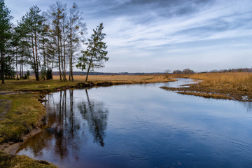 Dolina Górnej Narwi. Wiosna nad Narwią. Natura 2000 © podlaski49
