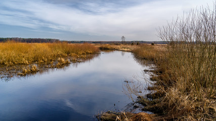 Dolina Górnej Narwi. Wiosna nad Narwią. Natura 2000