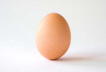 Isolated of chicken egg on white background.-Image.