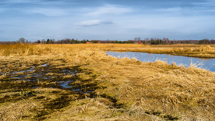 Dolina Górnej Narwi. Wiosna nad Narwią. Natura 2000 © podlaski49
